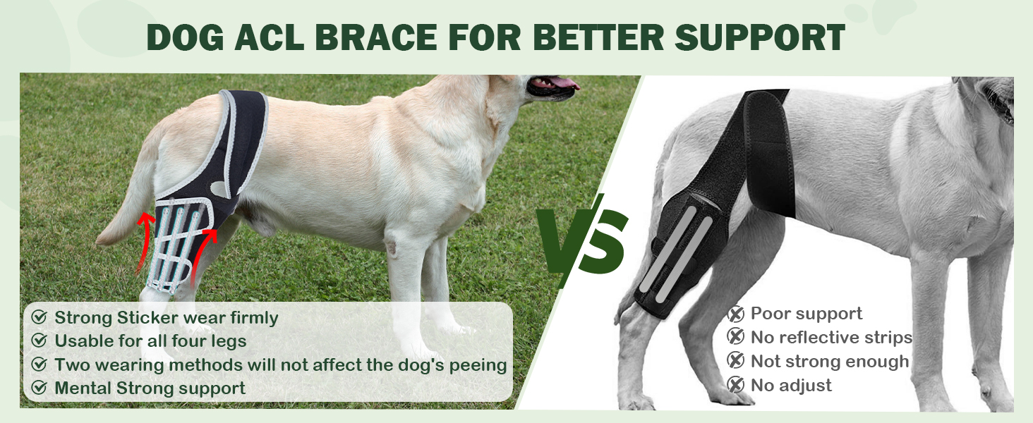 ortocanis dog knee brace