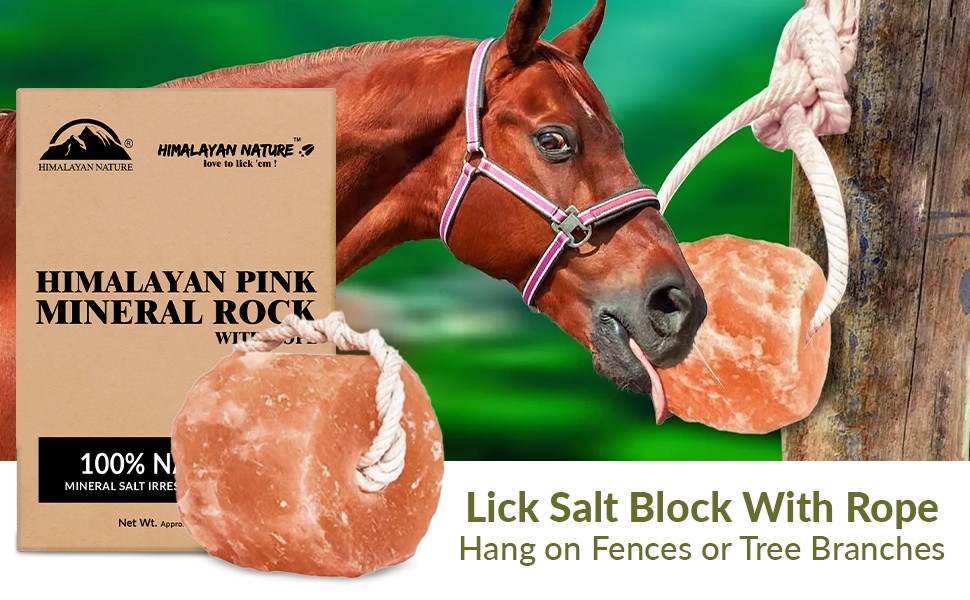 licking salt