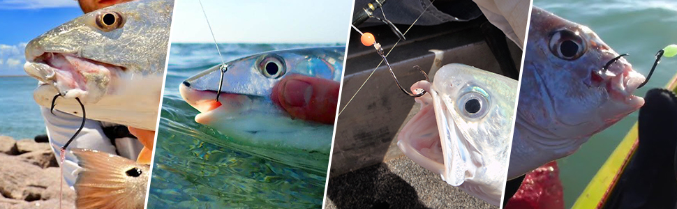 Large manufacture image 5