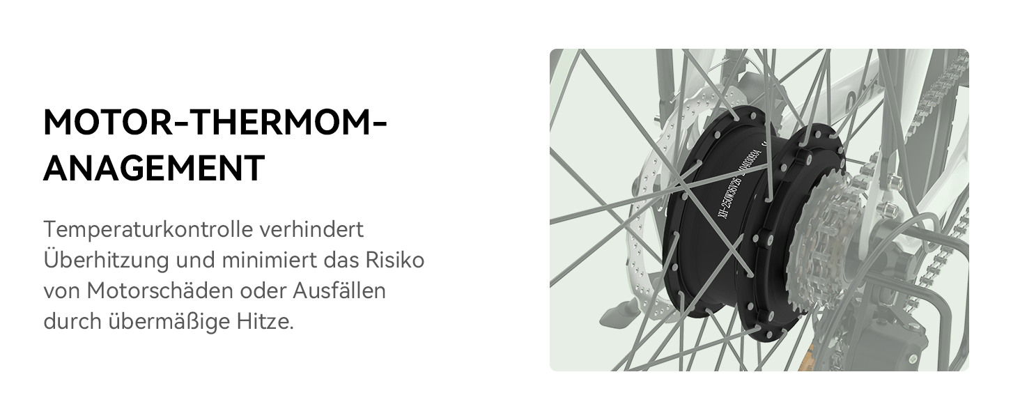 ebike herren mittelmotor