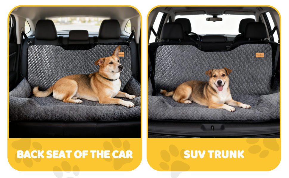 back seat or suv trunk