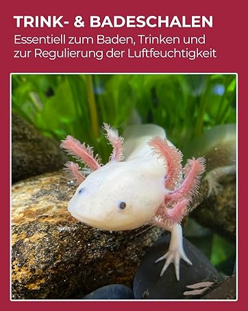 Trink- und Badschalen
