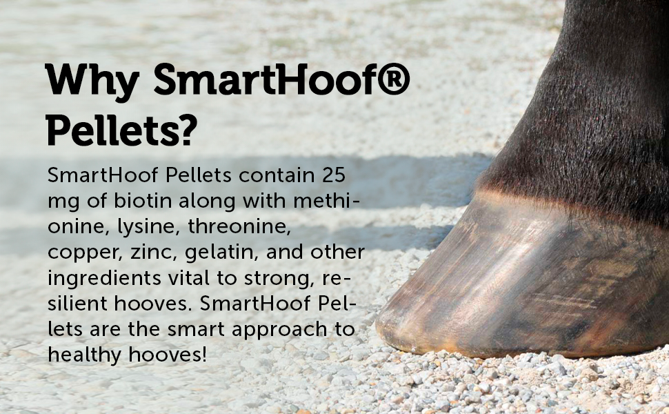 Why SmartHoof Pellets