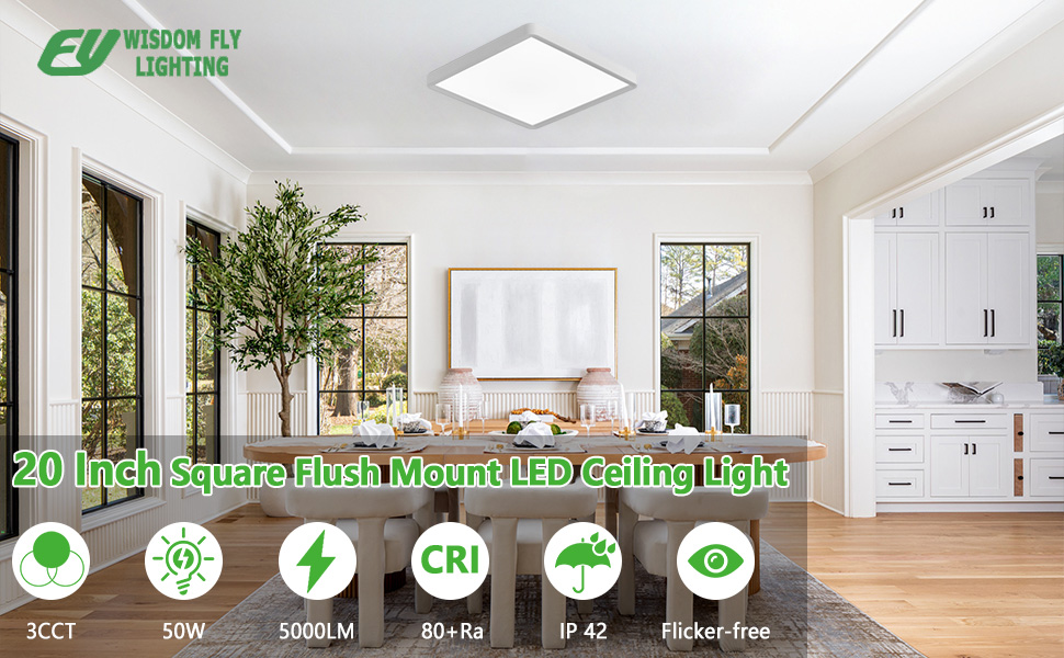 20 INCHE LED CEILING LIGHT