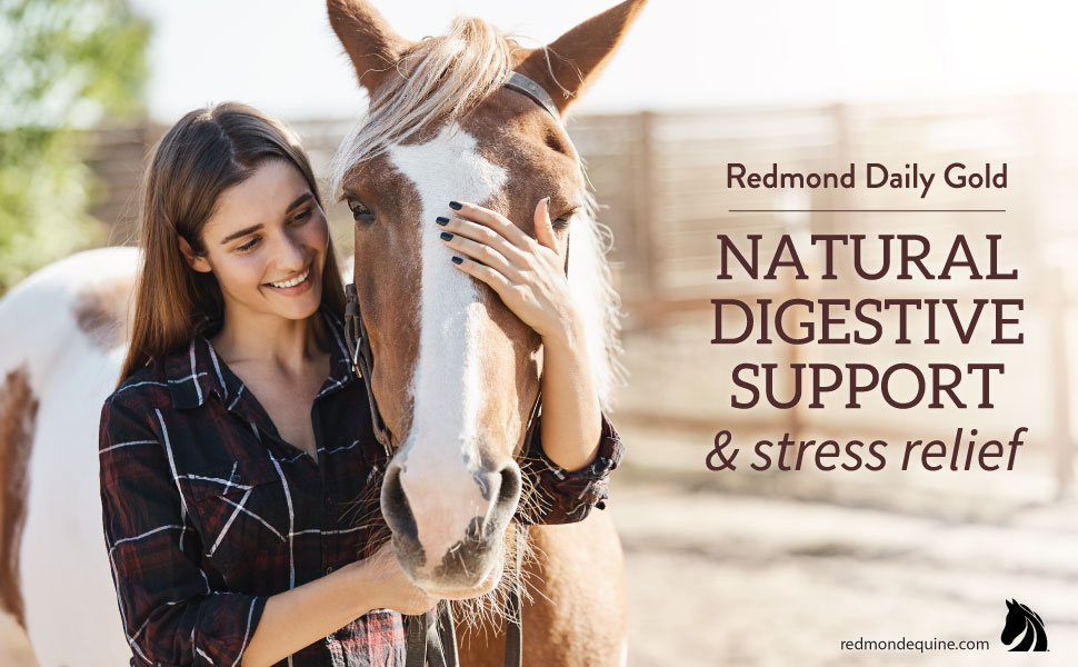 REDMOND Daily Gold Stress Relief Natural Digestive and