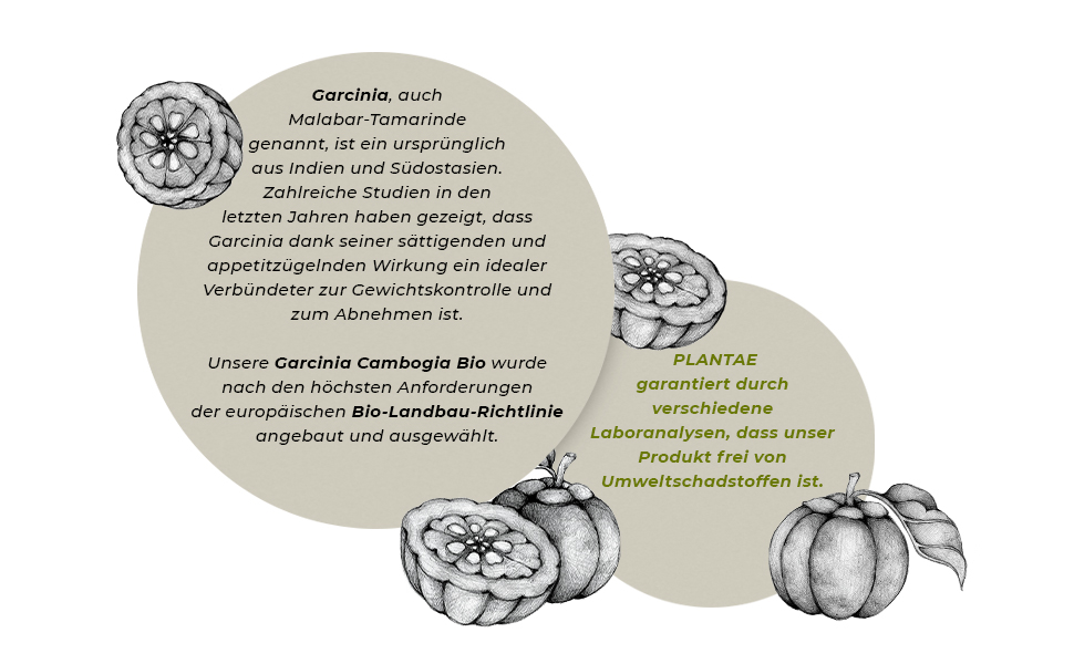GARCINIA