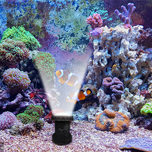 POPOSOAP Solar Pond Lights, 3-in-1 Warm White Underwater Pond Lights, IP68 Waterproof LED Landscape Spotlights For For Pond, Garden, Patio, Fountain, Pool, Waterfall Decoration(3 Head Lamp) - Online Marketplace