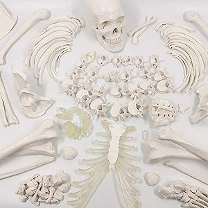 Small manufacture image 1