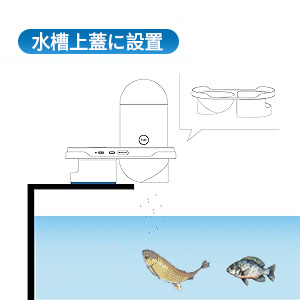 Amazon | KAWU 魚自動給餌器 ワイヤレス4K解像度カメラ スマホで
