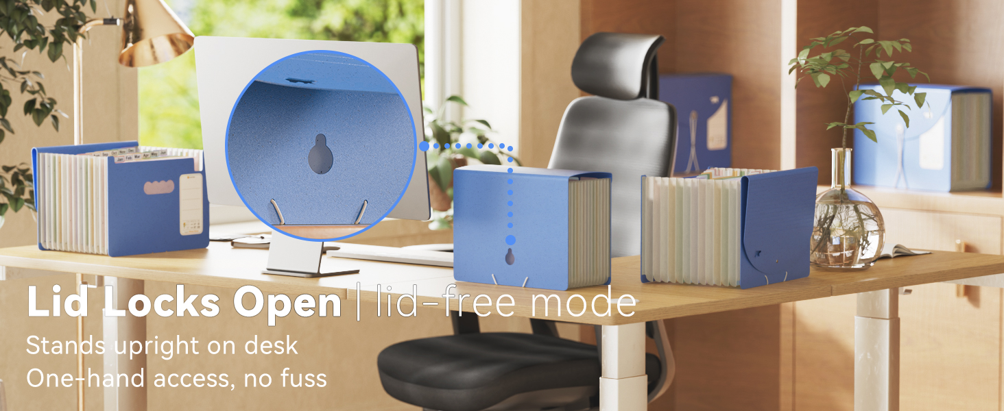 13-Pocket Accordion File Organizer