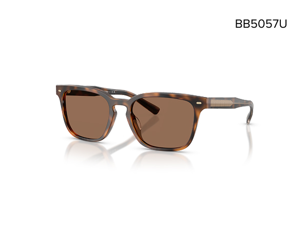 ブルックス　カンビュム BROOKS（ブルックス）CAMBIUM C19 （カンビウムC19） 送料無料