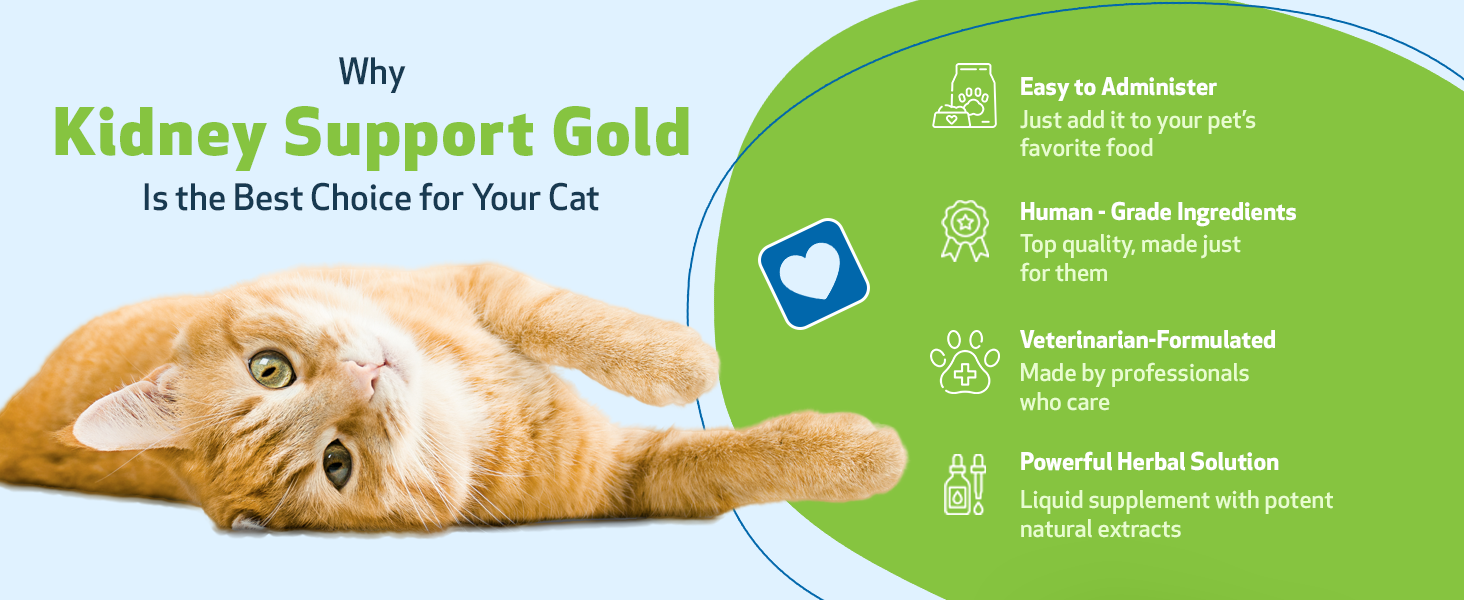 Pet Wellbeing Kidney Support Gold for Cats VetFormulated Supports