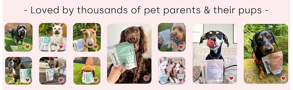 loved by pet parents