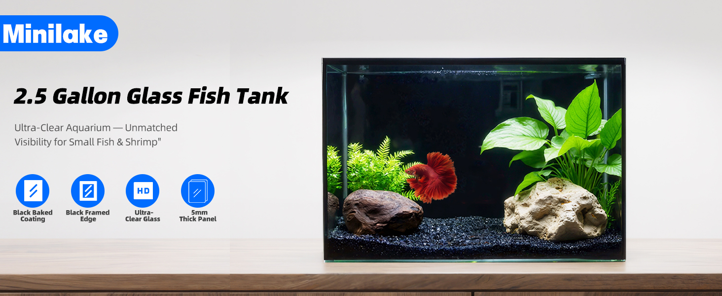 Fish tank