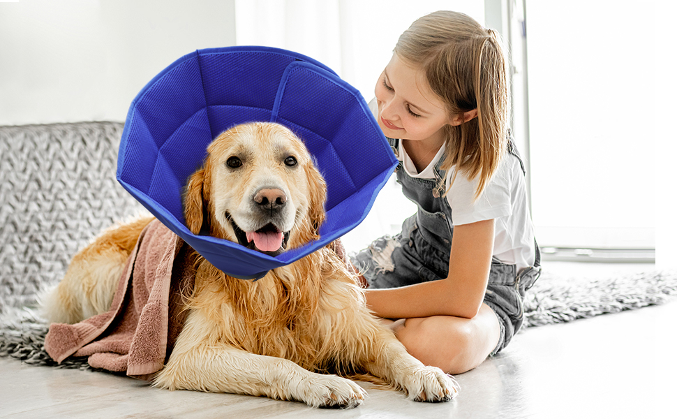 Dog Cone for After Surgery, Recovery Cones Collar for
