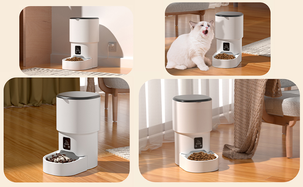 wifi automatic cat feeder