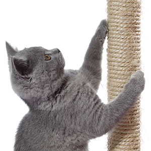 Posts wrapped in natural sisal