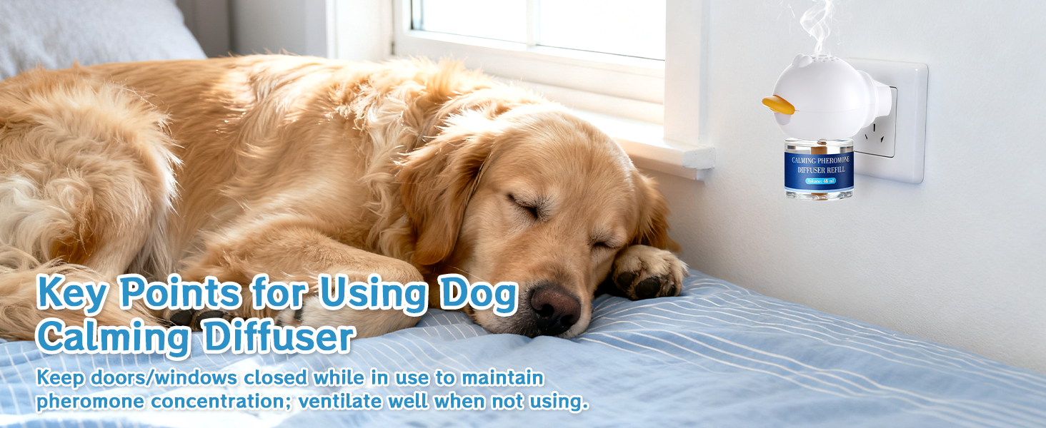 easy to use, dog calming supplement, keep quiet herbal diffuser, in the room, good environments