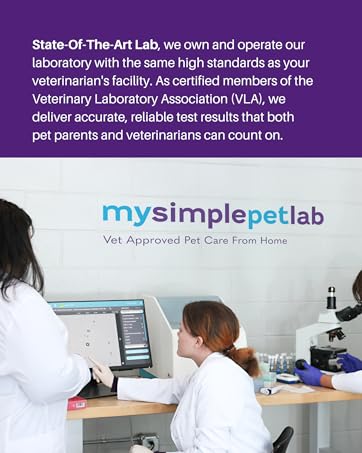 VLA Lab