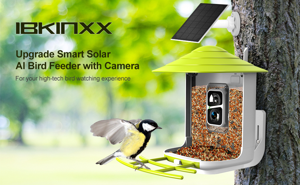 IBKINXX Green Smart Bird Feeder with Solar Powered AI Bird