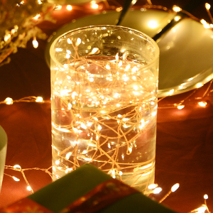 Fairy Lights Plug in