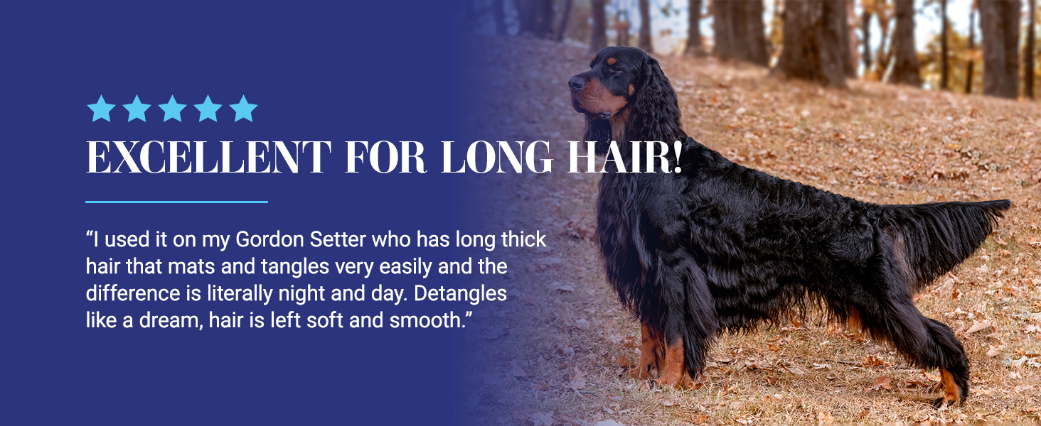 Chris Christensen Ice on Ice Dog Detangling Conditioner review - the difference is night and day