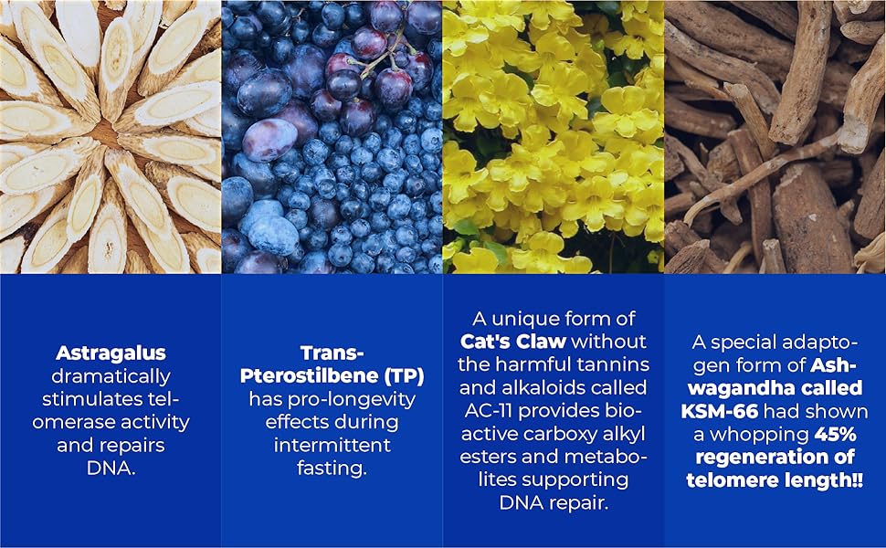 Youth Switch Disrupt & Reverse Aging in The Cellular
