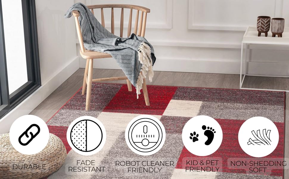 Rug rugs non-shedding easy to clean durable stain resistant longlasting beauty aesthetic stressfree