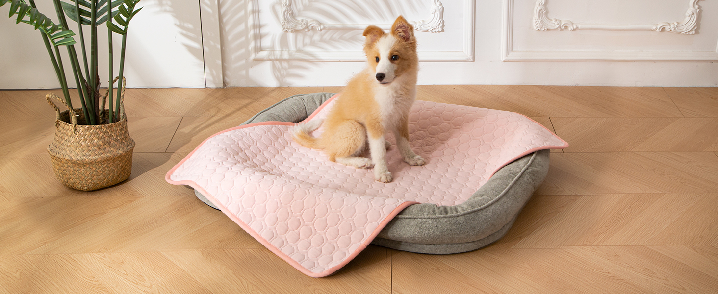 cooling mat for dogs