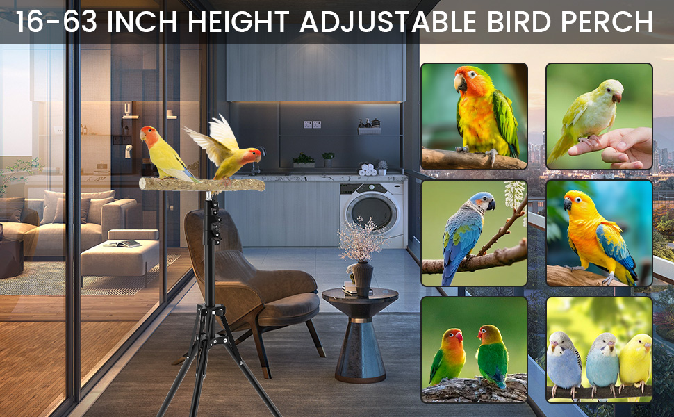 Wood Bird Training Perch Stand