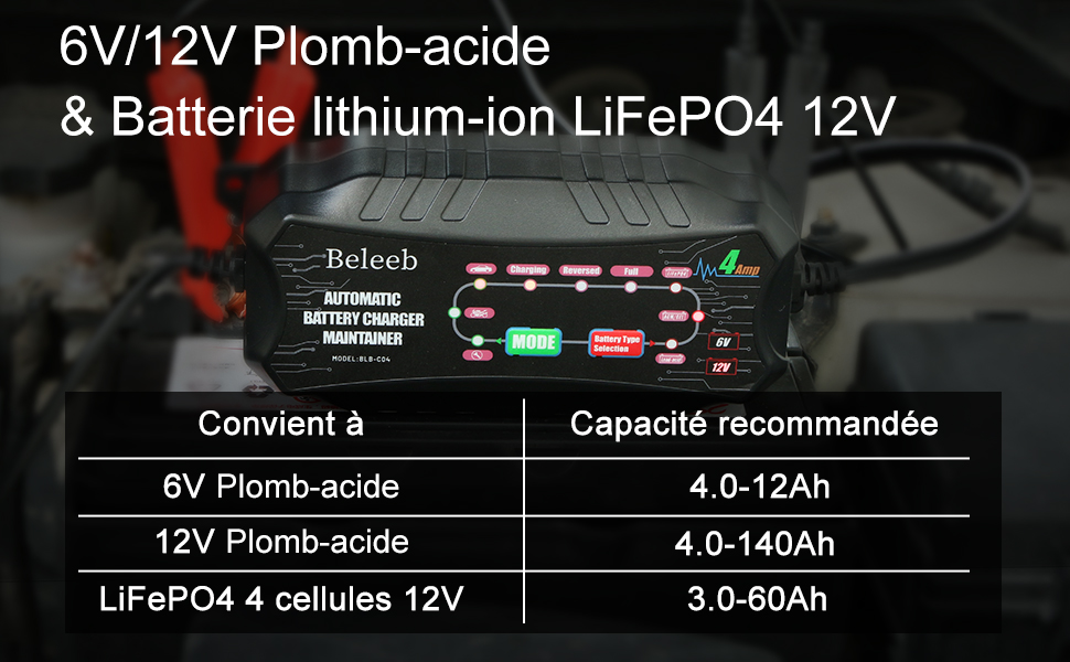 Beleeb Série C04 Désulfateur Automatique de Batterie pour Batteries PlombAcide SLA Gel AGM, 6V