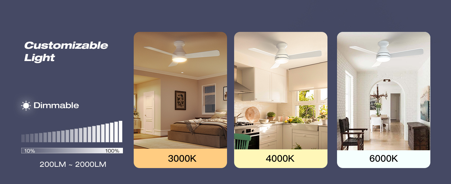 customizable light