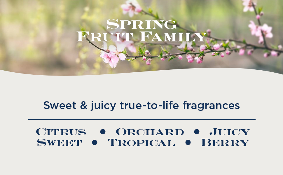 Premium Scented 4Wick Candle, Banana Daiquiri, HomeWorx by