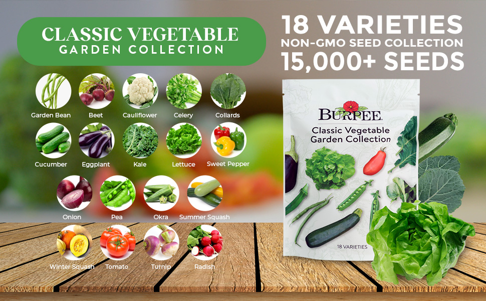 Burpee Heirloom Vegetable Seeds 15,000+ Seeds Beans