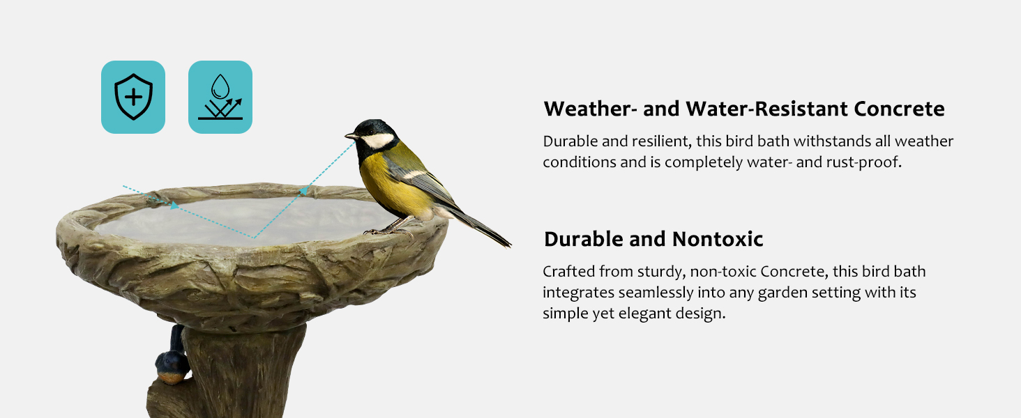Bird Bath