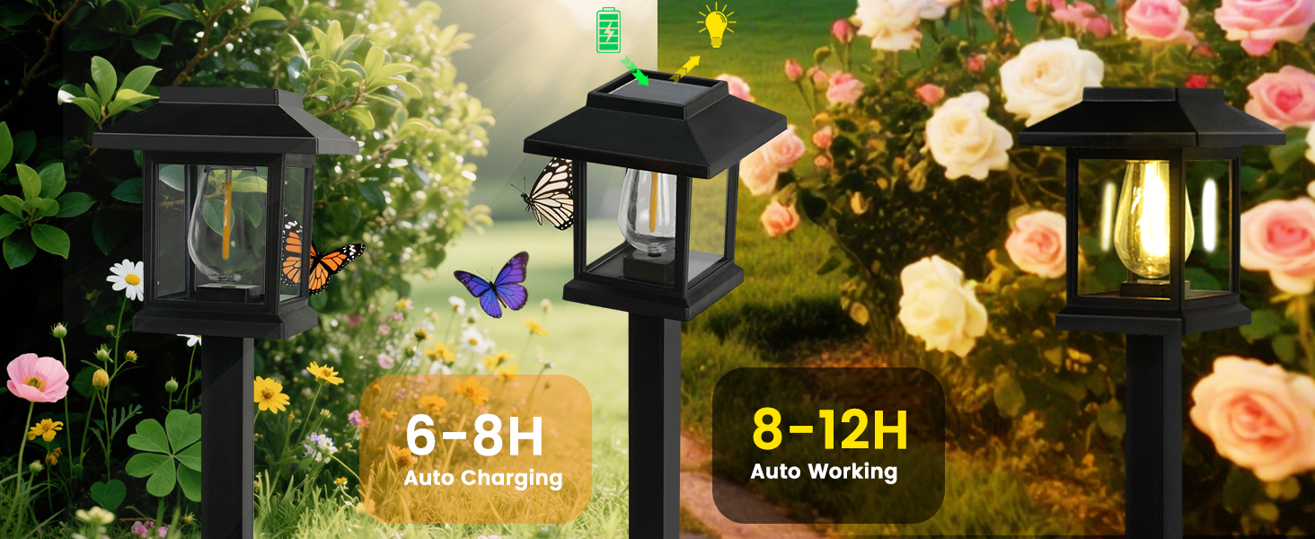 Solar House Lights