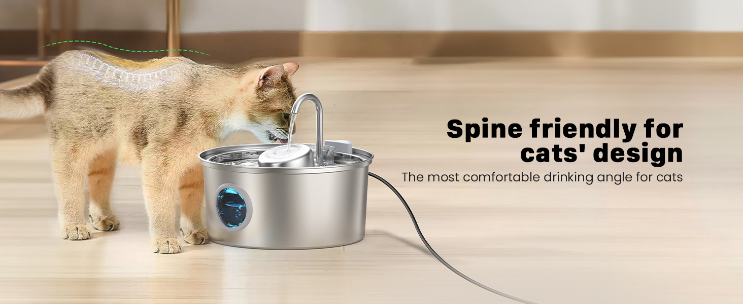 cat water fountain