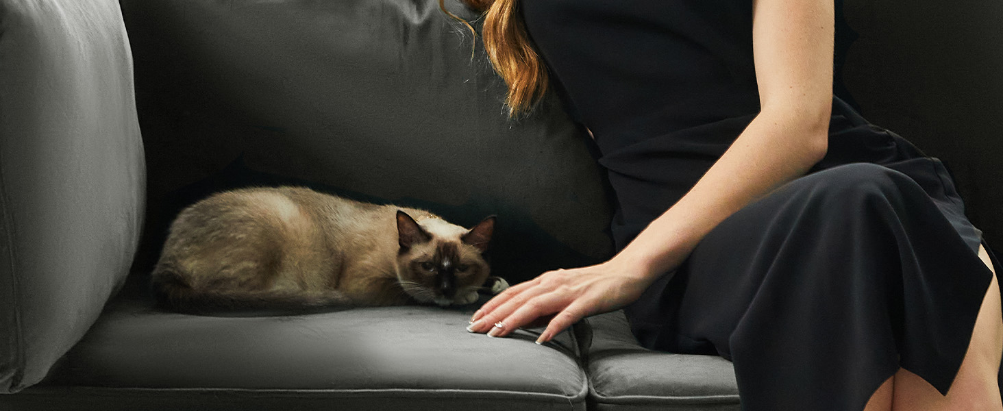 sectional sofa