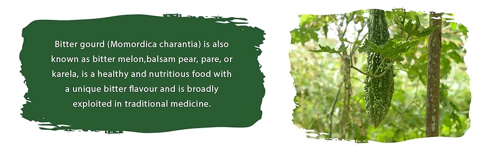 bittergourd-Srilankan-dried-bittergourd-jshara