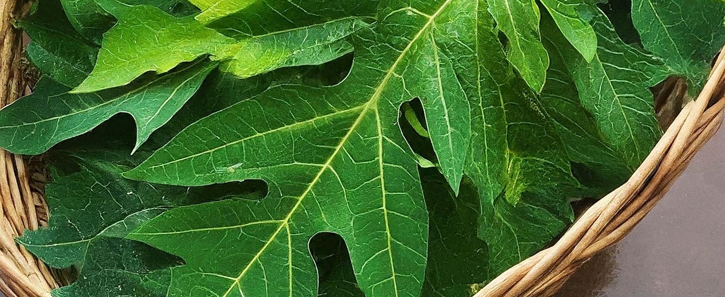 Carefully Dried