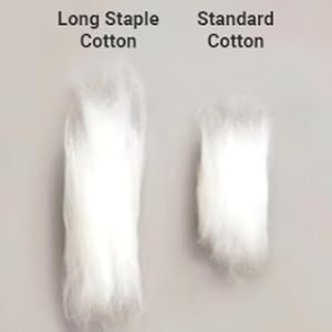 Long Staple Cotton, Standard Cotton