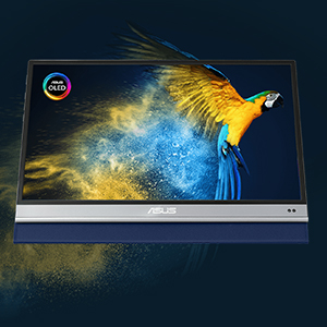 Amazon.com: ASUS ZenScreen OLED 13.3” 1080P Portable USB