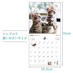 ねこにゃんこページ Mushroom Cat (Amber Egg :N106 TF) - information & testing