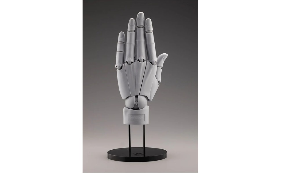 Amazon | 壽屋(KOTOBUKIYA) ARTIST SUPPORT ITEM ハンドモデル/L