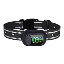 dog e collar