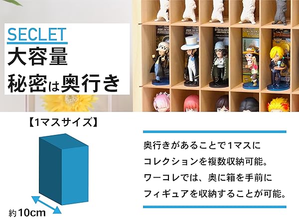 Amazon.co.jp: もりもり工房 コレクションケース (5×10マス / 最大50個