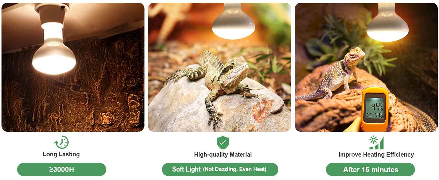 heat lamp for reptiles