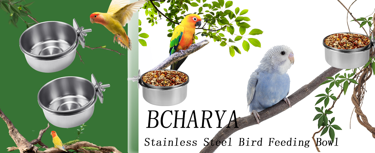 Stainless Steel Bird Feeding Bowl