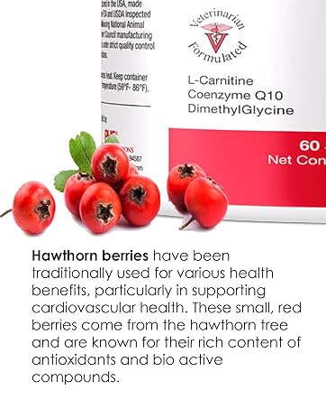Hawthorn