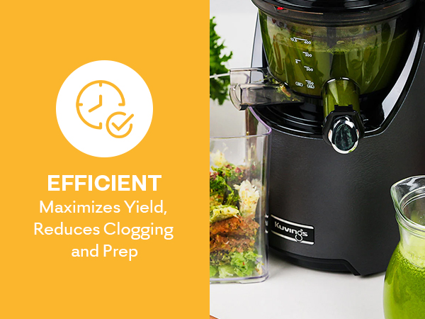 Amazon.com: Kuvings EVO820GMS Whole Slow Juicer - Cold Press